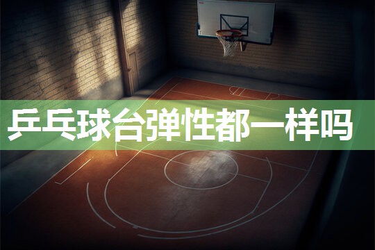 乒乓球台弹性都一样吗